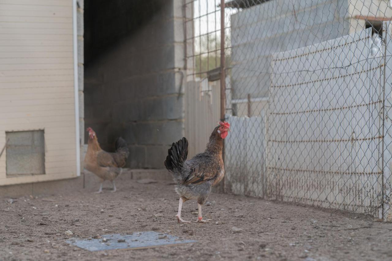 Alojamiento Rural Junto A Via Verde أولفيرا المظهر الخارجي الصورة